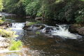 Black Pool Upstream.jpg